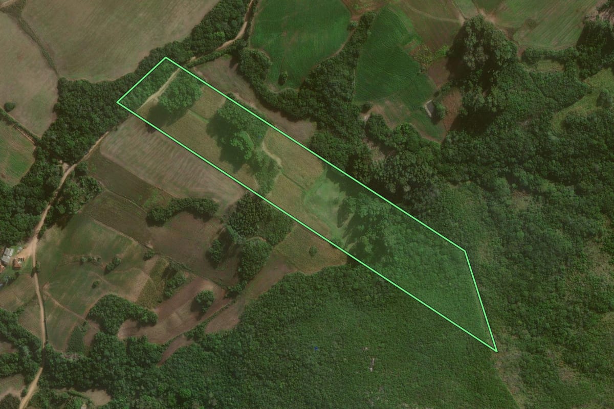 Imagem de satélite do imóvel rural em Canguçu (RS), com o contorno declarado no CAR desenhado por cima.