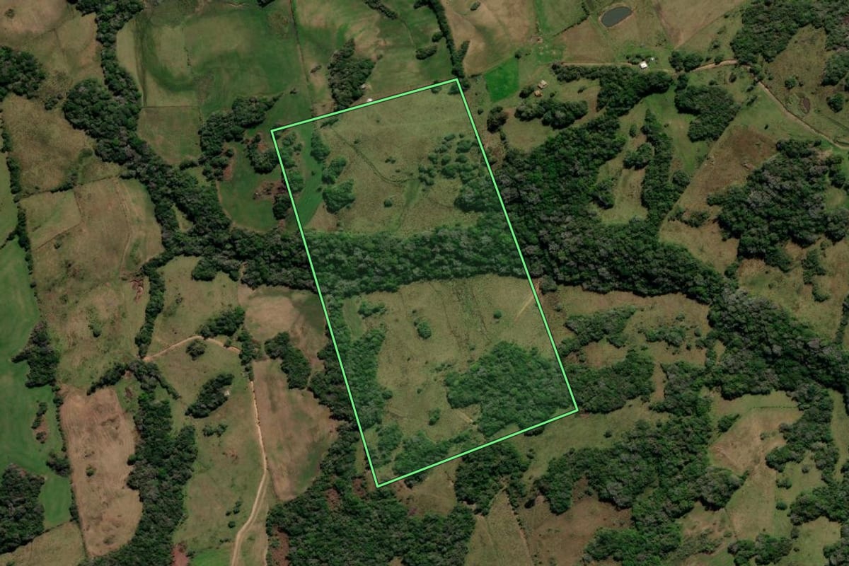 Imagem de satélite do imóvel rural em Canguçu (RS), com o contorno declarado no CAR desenhado por cima.