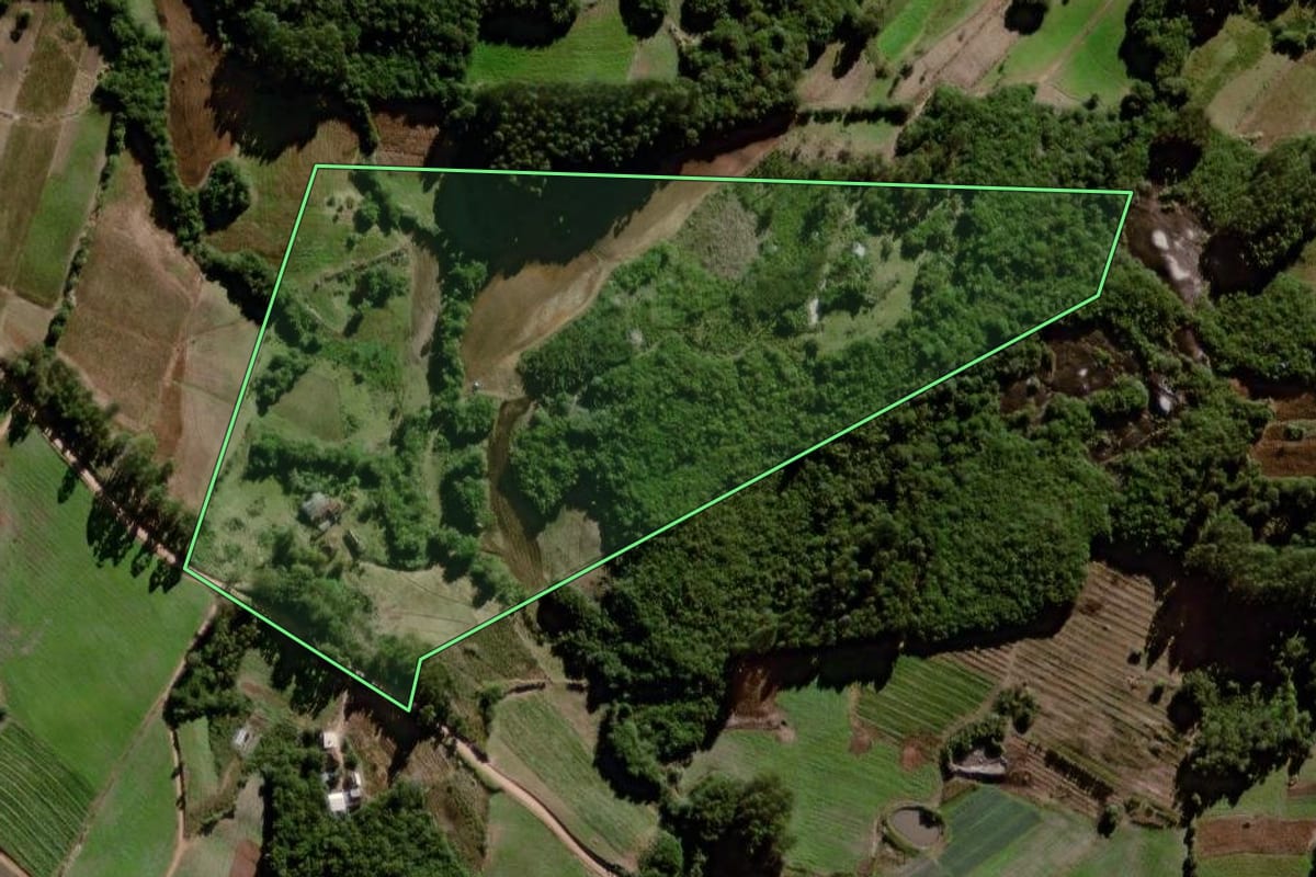 Imagem de satélite do imóvel rural em Canguçu (RS), com o contorno declarado no CAR desenhado por cima.
