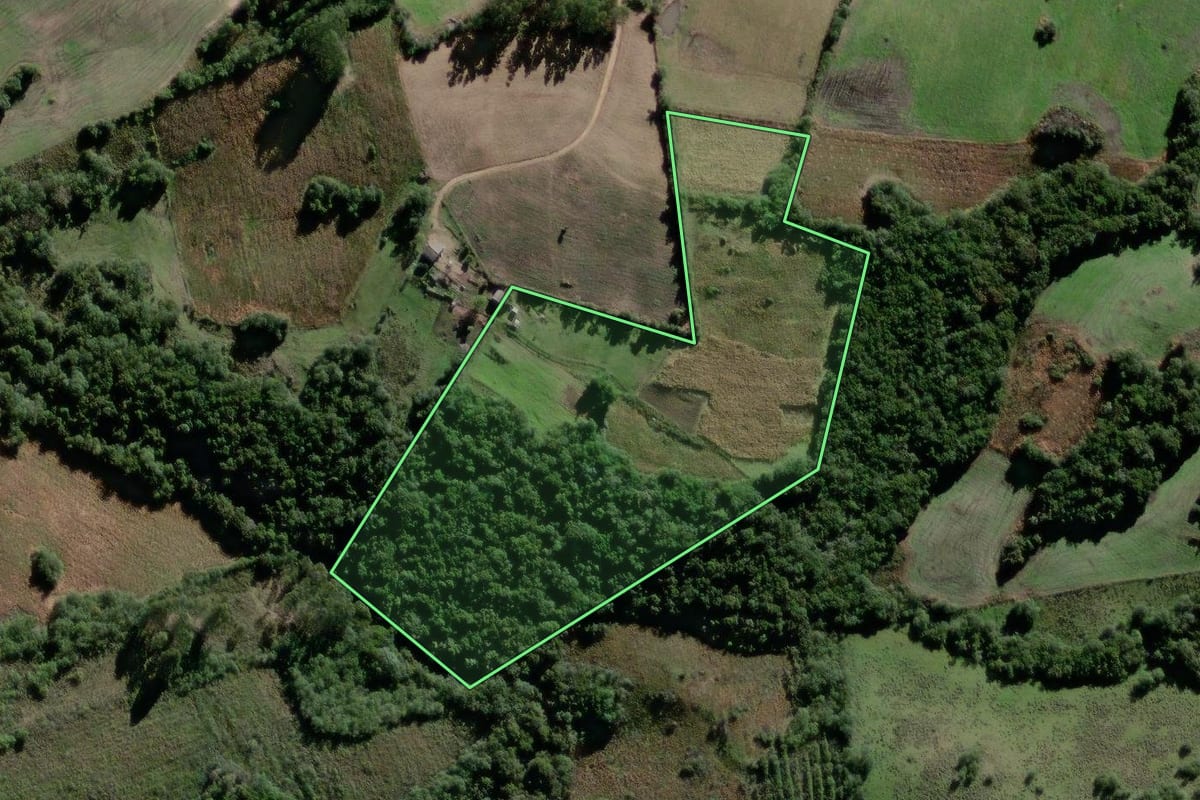 Imagem de satélite do imóvel rural em Canguçu (RS), com o contorno declarado no CAR desenhado por cima.