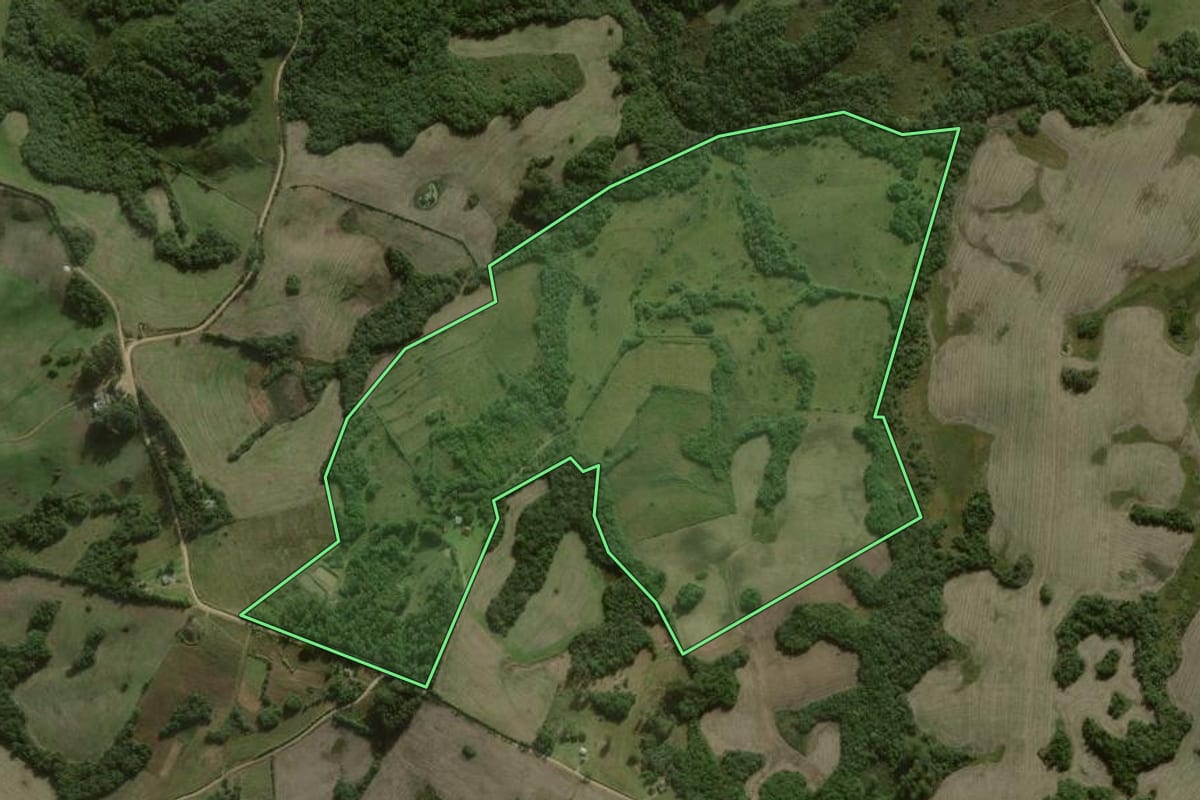 Imagem de satélite do imóvel rural em Canguçu (RS), com o contorno declarado no CAR desenhado por cima.