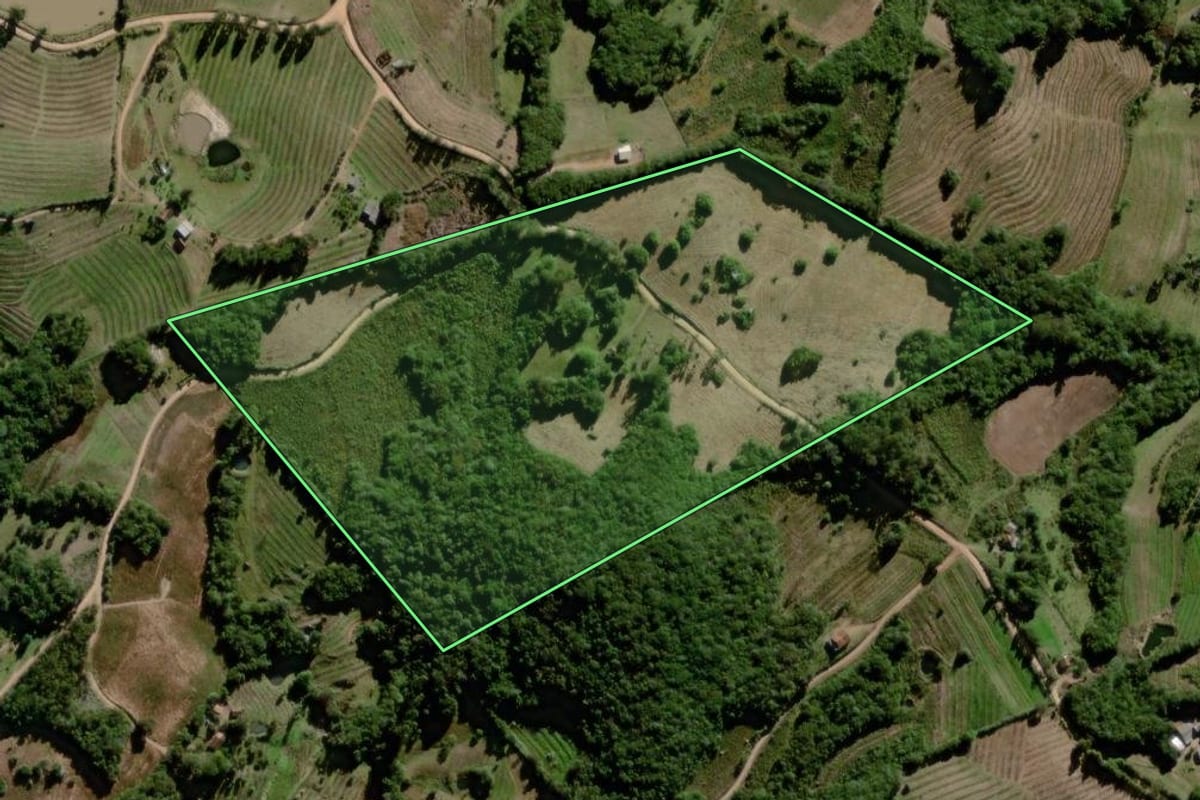 Imagem de satélite do imóvel rural em Canguçu (RS), com o contorno declarado no CAR desenhado por cima.