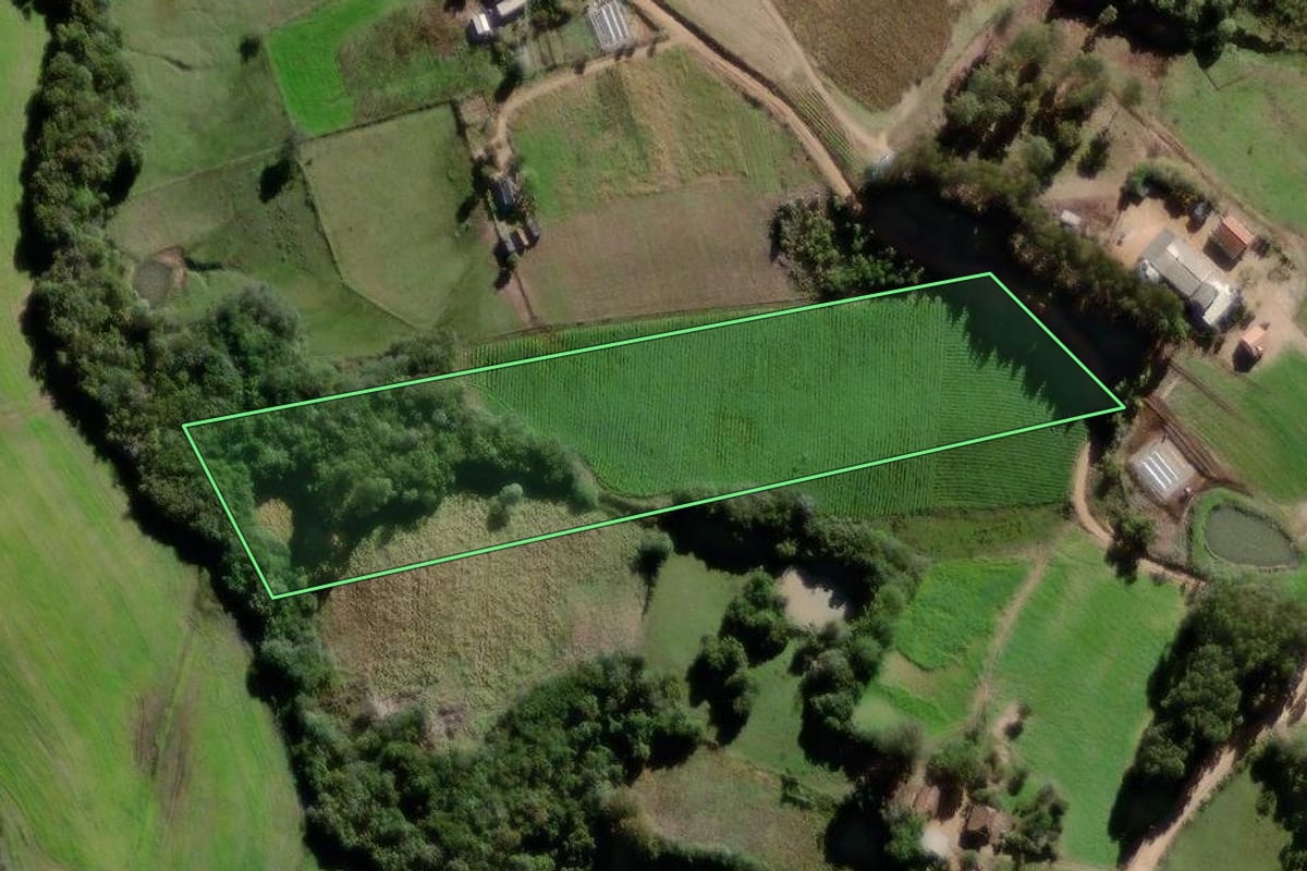 Imagem de satélite do imóvel rural em Canguçu (RS), com o contorno declarado no CAR desenhado por cima.