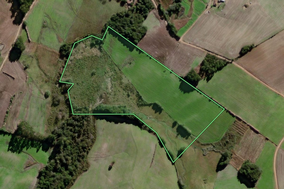 Imagem de satélite do imóvel rural em Canguçu (RS), com o contorno declarado no CAR desenhado por cima.