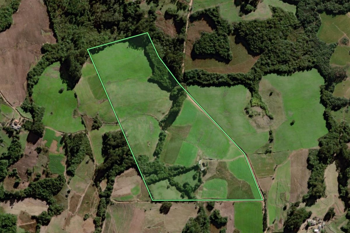 Imagem de satélite do imóvel rural em Canguçu (RS), com o contorno declarado no CAR desenhado por cima.