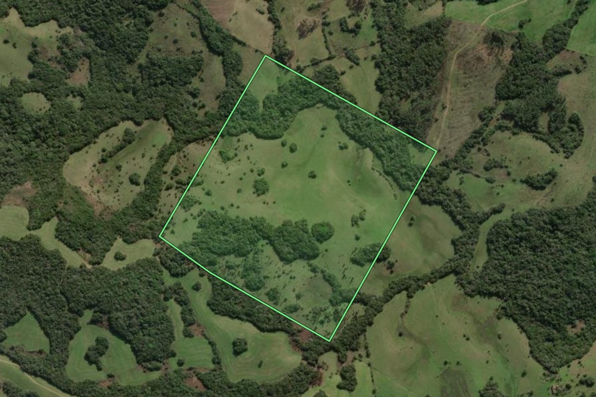 Imagem de satélite do imóvel rural em Canguçu (RS), com o contorno declarado no CAR desenhado por cima.