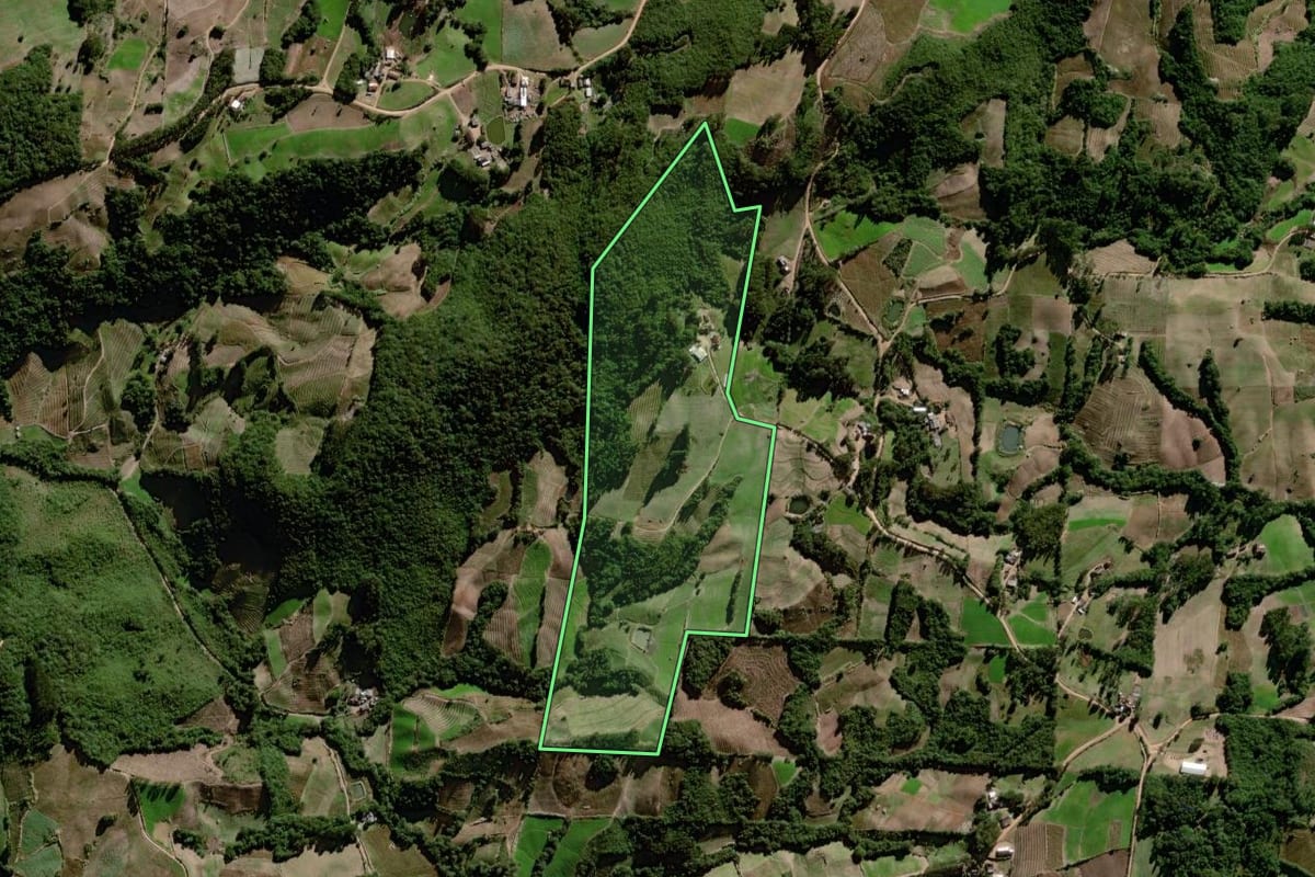 Imagem de satélite do imóvel rural em Canguçu (RS), com o contorno declarado no CAR desenhado por cima.