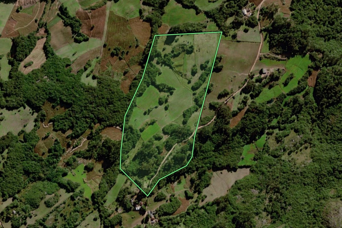 Imagem de satélite do imóvel rural em Canguçu (RS), com o contorno declarado no CAR desenhado por cima.