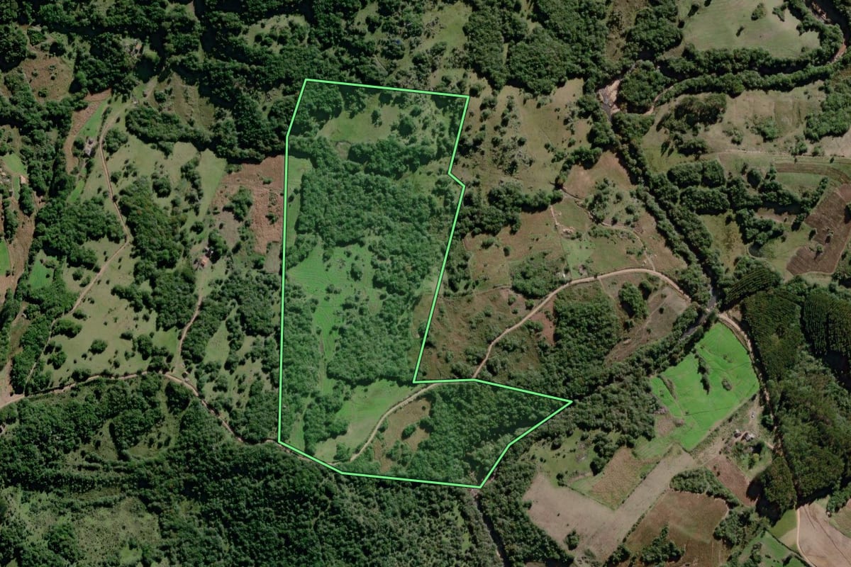 Imagem de satélite do imóvel rural em Canguçu (RS), com o contorno declarado no CAR desenhado por cima.