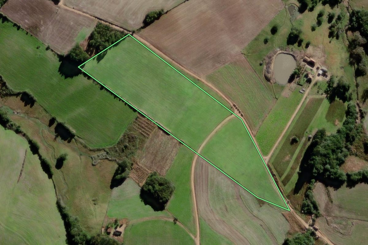 Imagem de satélite do imóvel rural em Canguçu (RS), com o contorno declarado no CAR desenhado por cima.