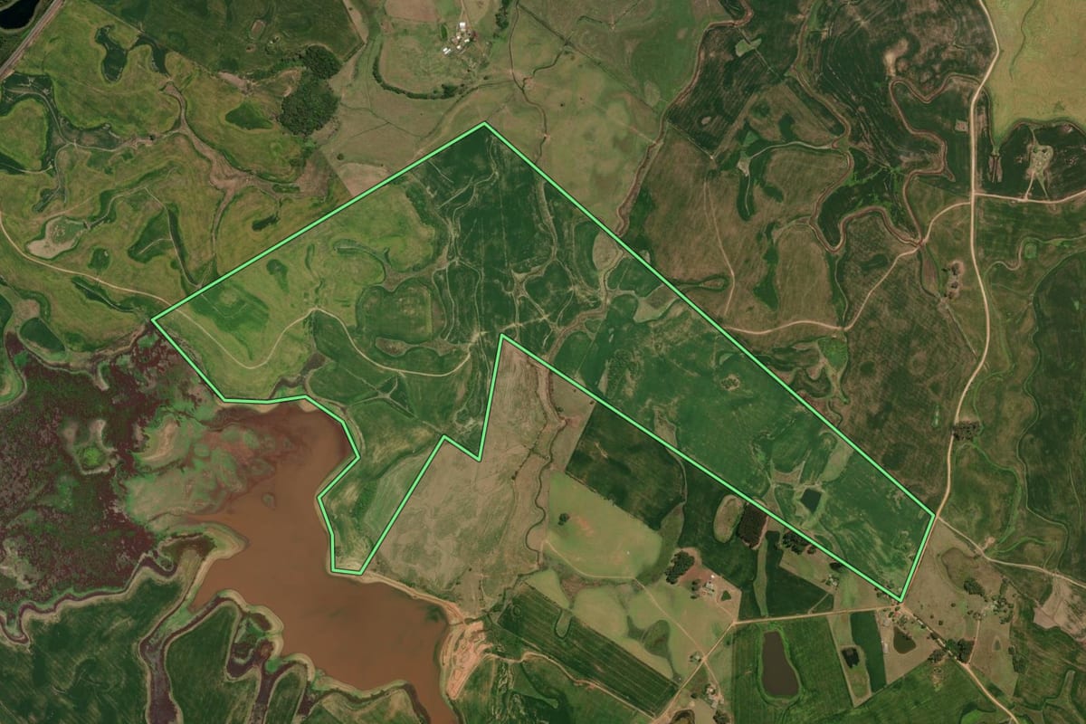 Imagem de satélite do imóvel rural em Canguçu (RS), com o contorno declarado no CAR desenhado por cima.