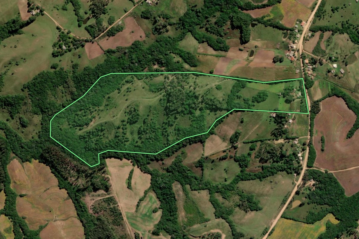 Imagem de satélite do imóvel rural em Canguçu (RS), com o contorno declarado no CAR desenhado por cima.