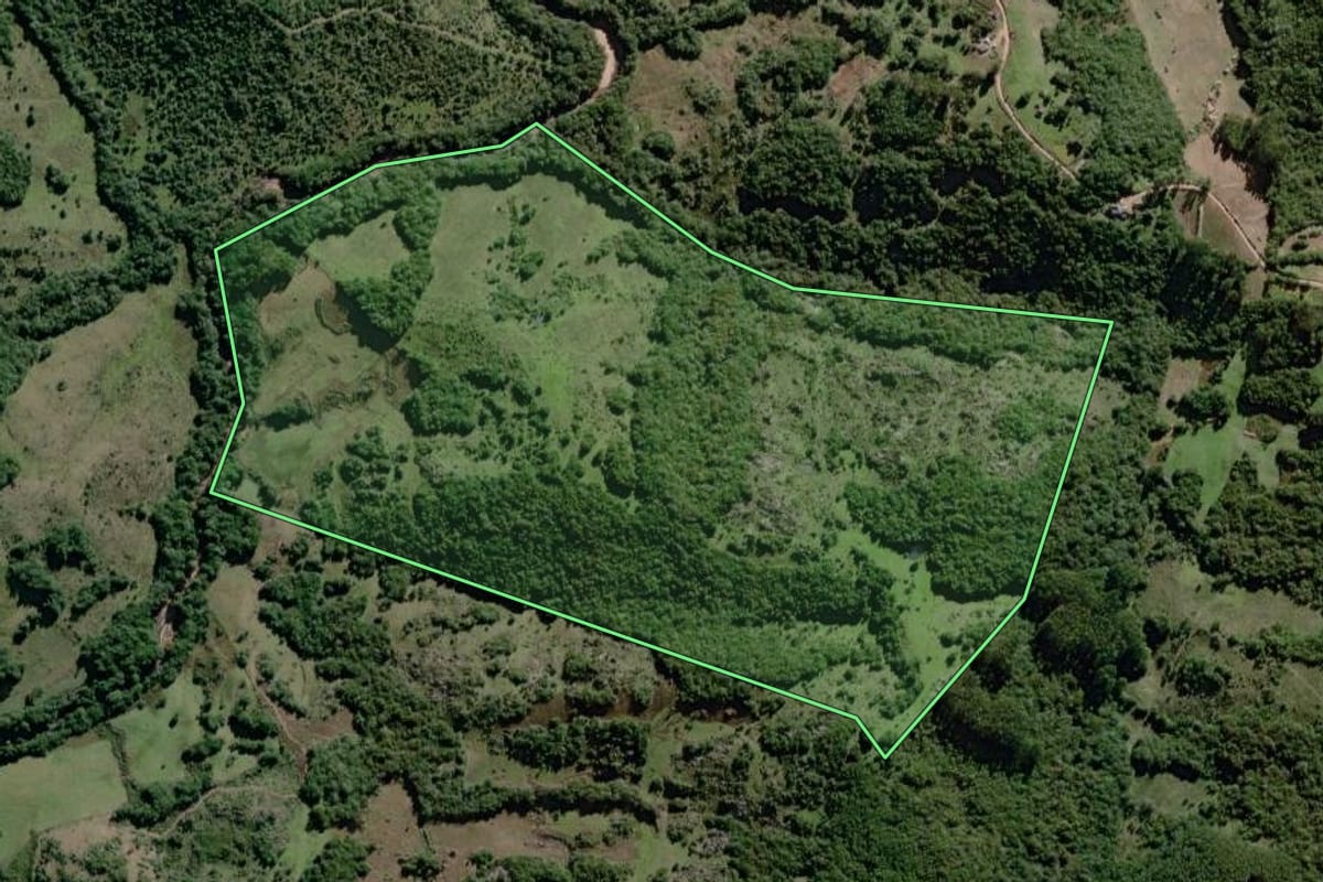 Imagem de satélite do imóvel rural em Canguçu (RS), com o contorno declarado no CAR desenhado por cima.