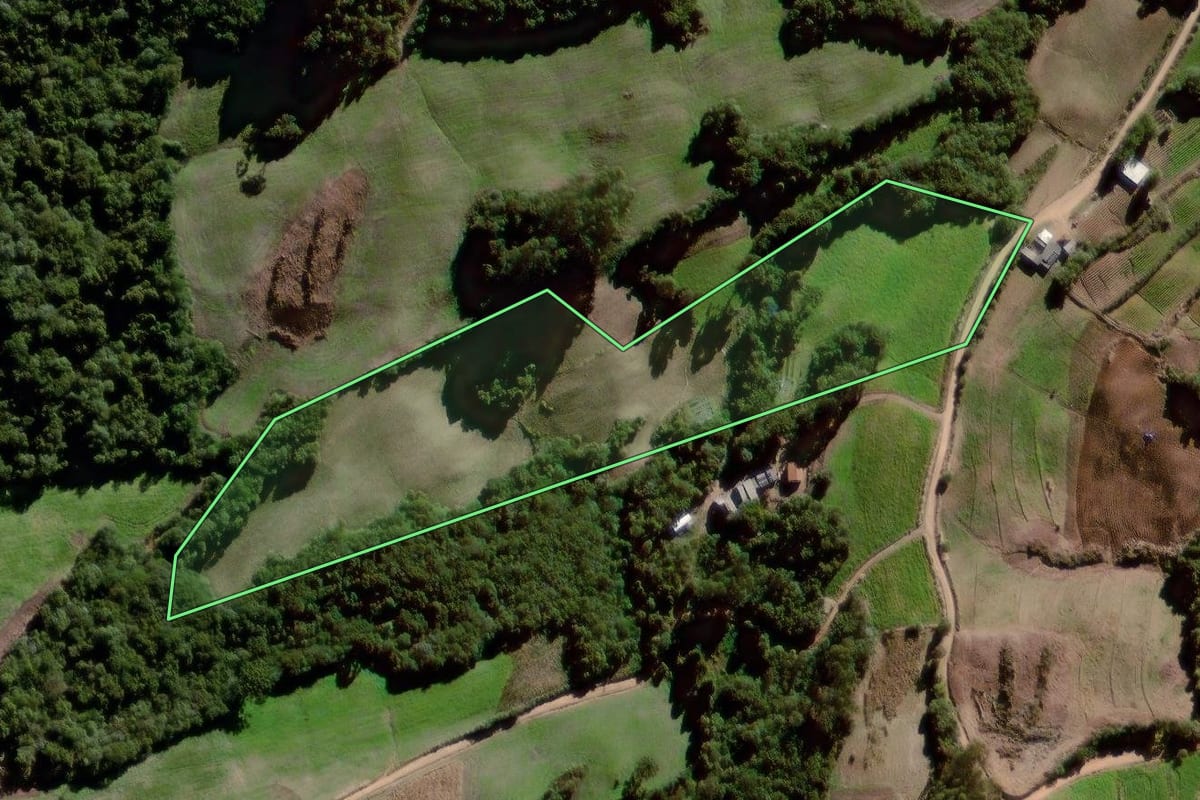 Imagem de satélite do imóvel rural em Canguçu (RS), com o contorno declarado no CAR desenhado por cima.