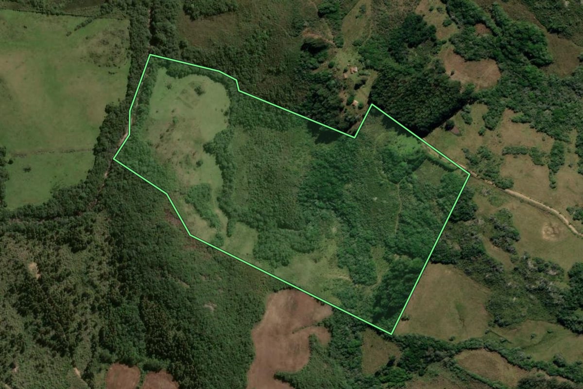Imagem de satélite do imóvel rural em Canguçu (RS), com o contorno declarado no CAR desenhado por cima.