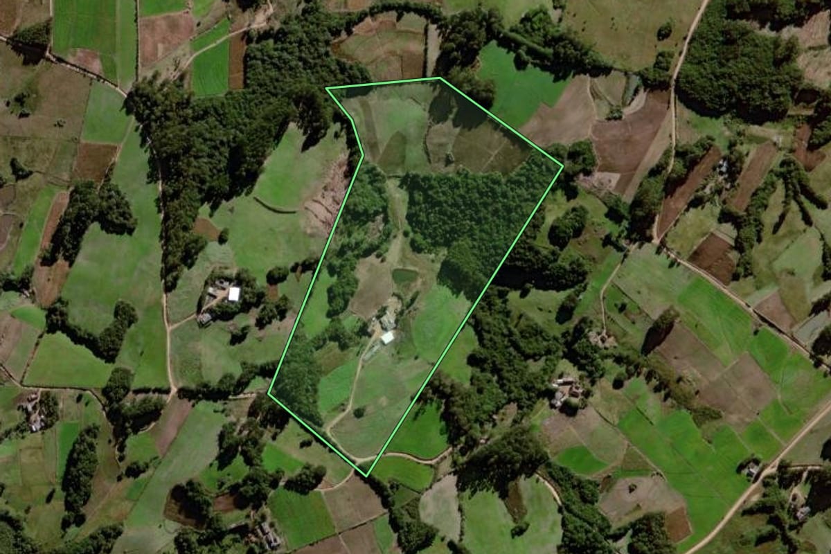 Imagem de satélite do imóvel rural em Canguçu (RS), com o contorno declarado no CAR desenhado por cima.