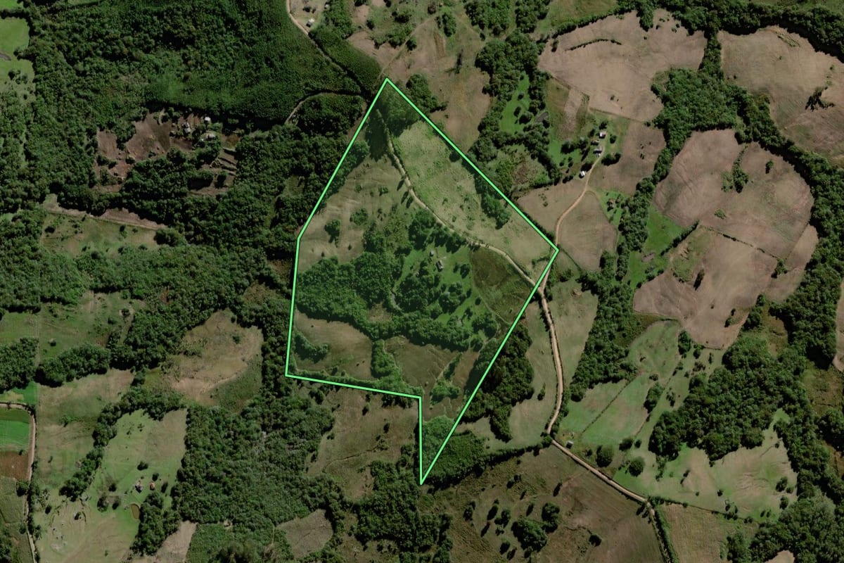 Imagem de satélite do imóvel rural em Canguçu (RS), com o contorno declarado no CAR desenhado por cima.