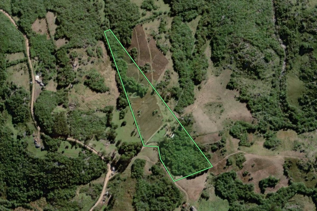 Imagem de satélite do imóvel rural em Canguçu (RS), com o contorno declarado no CAR desenhado por cima.