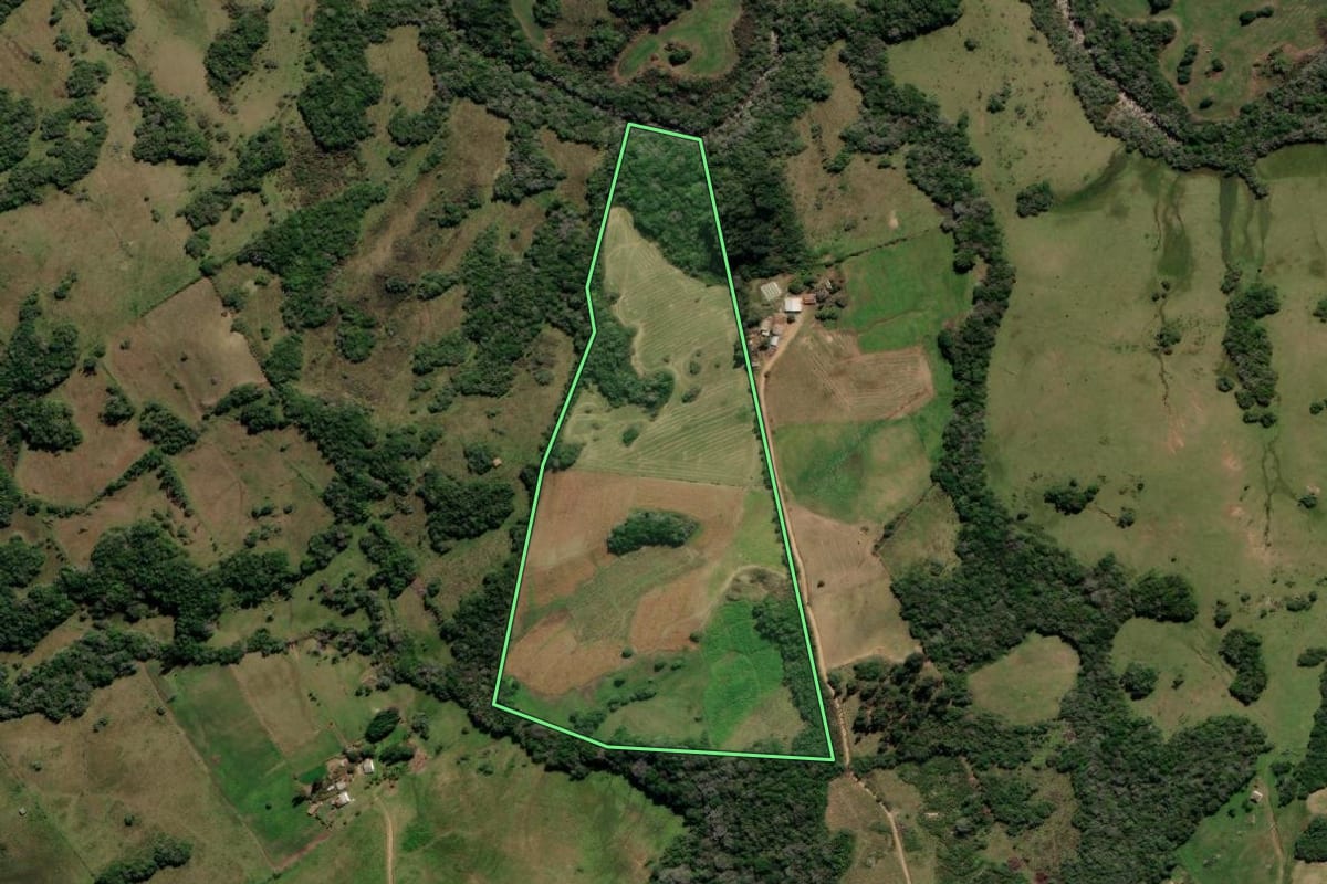 Imagem de satélite do imóvel rural em Canguçu (RS), com o contorno declarado no CAR desenhado por cima.