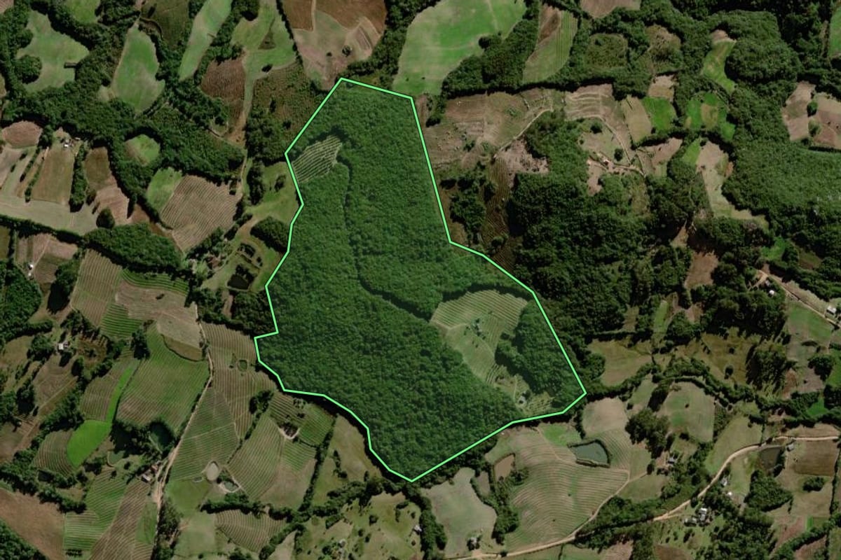 Imagem de satélite do imóvel rural em Canguçu (RS), com o contorno declarado no CAR desenhado por cima.