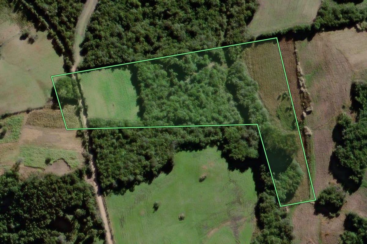 Imagem de satélite do imóvel rural em Canguçu (RS), com o contorno declarado no CAR desenhado por cima.