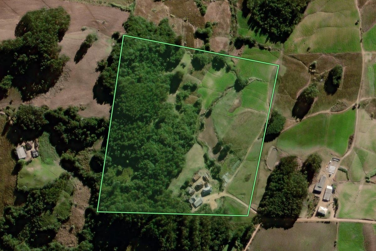 Imagem de satélite do imóvel rural em Canguçu (RS), com o contorno declarado no CAR desenhado por cima.