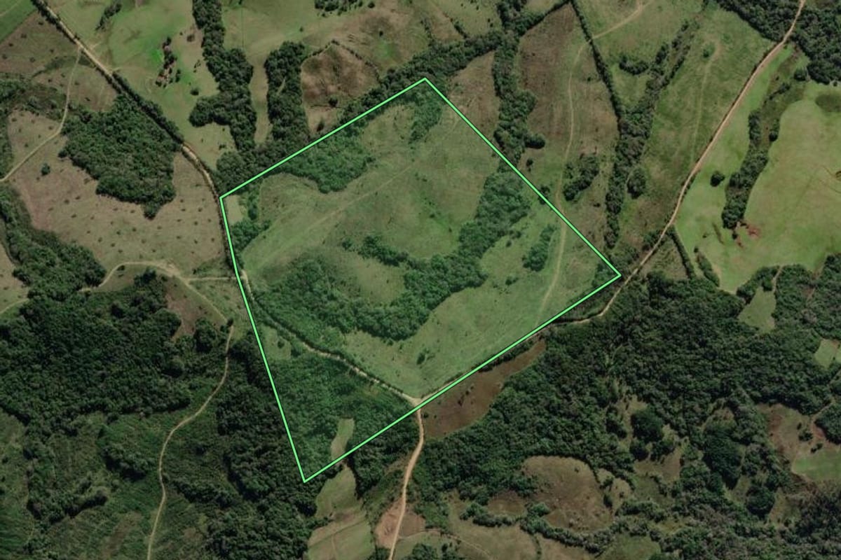 Imagem de satélite do imóvel rural em Canguçu (RS), com o contorno declarado no CAR desenhado por cima.