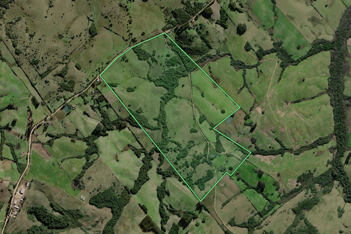 Imagem de satélite do imóvel rural em Canguçu (RS), com o contorno declarado no CAR desenhado por cima.
