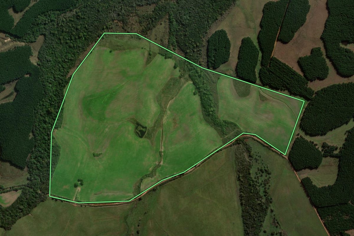 Imagem de satélite do imóvel rural em Canguçu (RS), com o contorno declarado no CAR desenhado por cima.