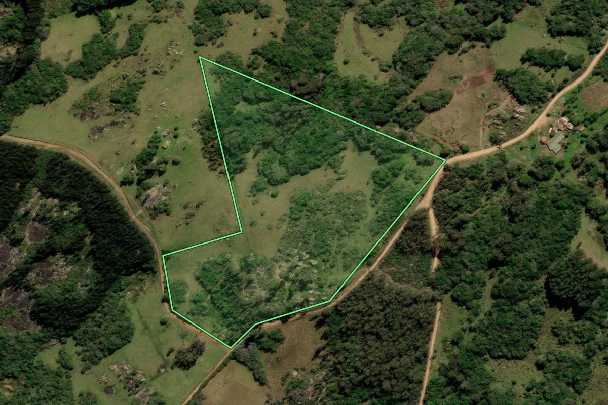 Imagem de satélite do imóvel rural em Canguçu (RS), com o contorno declarado no CAR desenhado por cima.