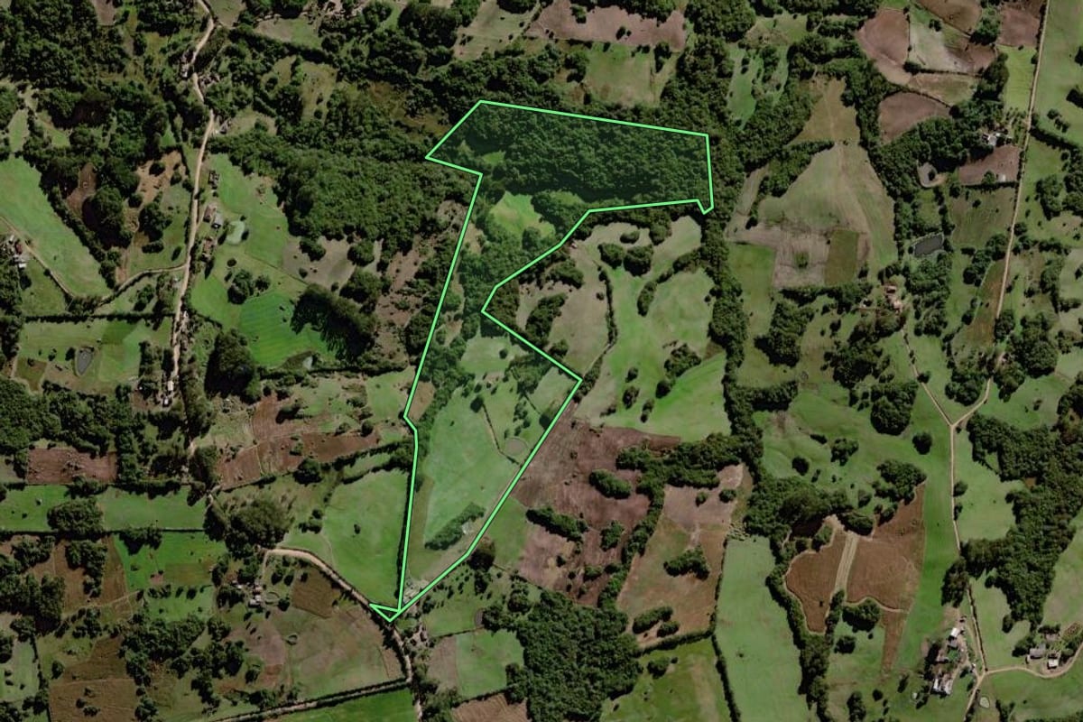 Imagem de satélite do imóvel rural em Canguçu (RS), com o contorno declarado no CAR desenhado por cima.