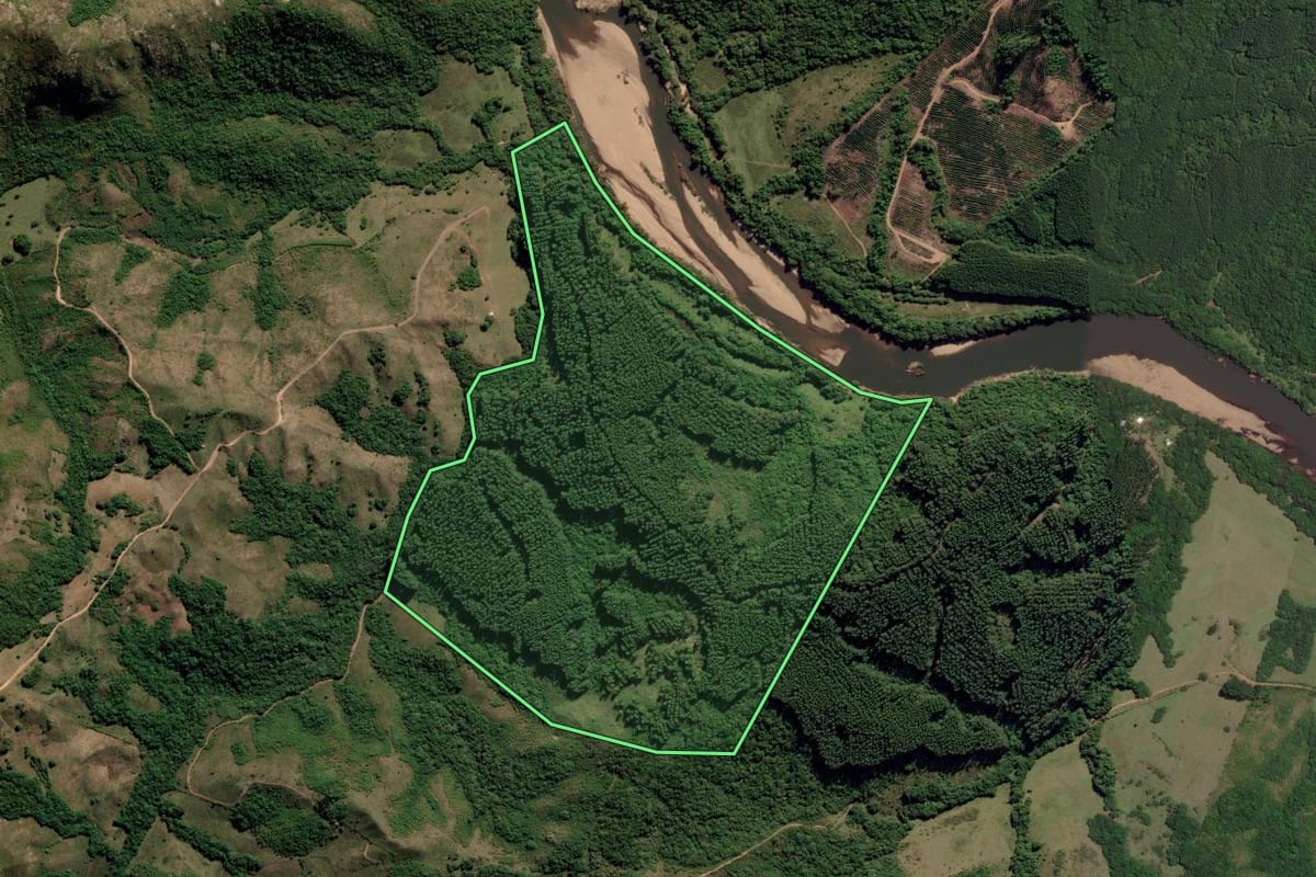 Imagem de satélite do imóvel rural em Canguçu (RS), com o contorno declarado no CAR desenhado por cima.