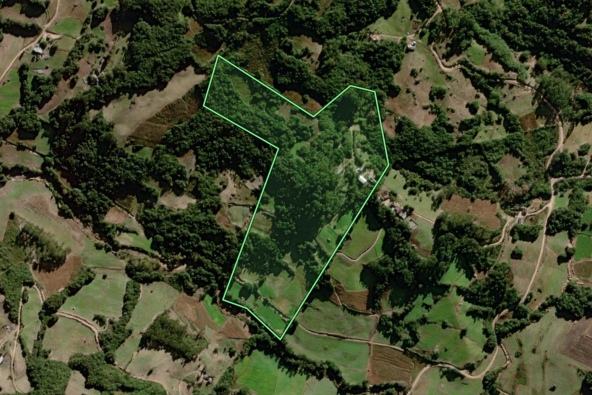 Imagem de satélite do imóvel rural em Canguçu (RS), com o contorno declarado no CAR desenhado por cima.