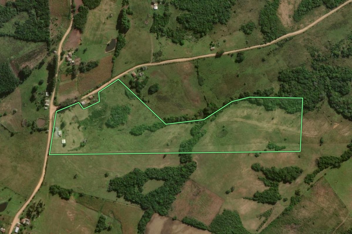Imagem de satélite do imóvel rural em Canguçu (RS), com o contorno declarado no CAR desenhado por cima.