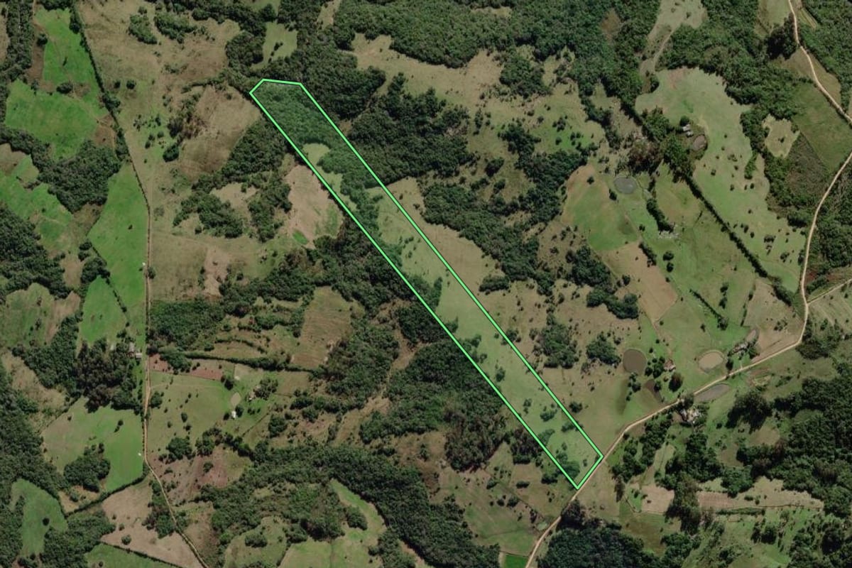 Imagem de satélite do imóvel rural em Canguçu (RS), com o contorno declarado no CAR desenhado por cima.
