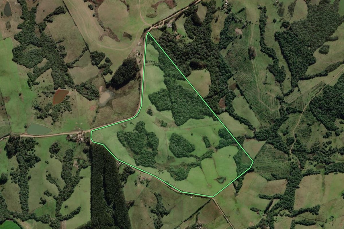 Imagem de satélite do imóvel rural em Canguçu (RS), com o contorno declarado no CAR desenhado por cima.