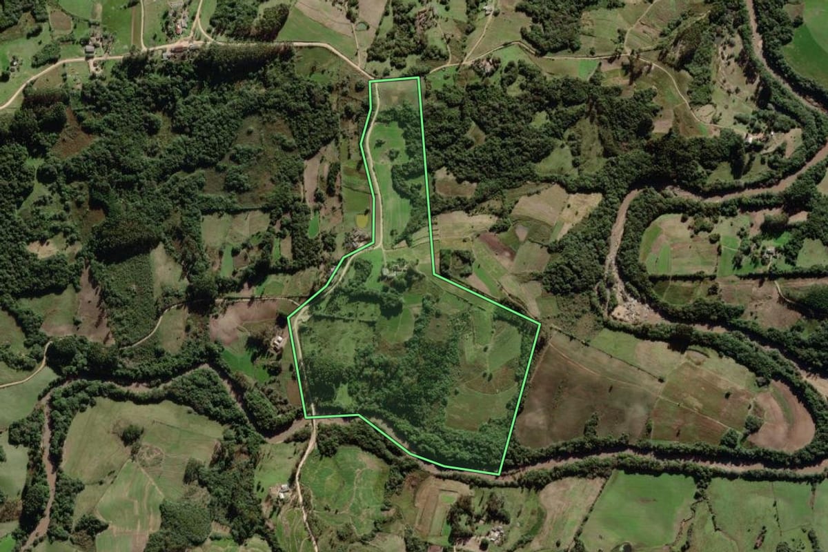 Imagem de satélite do imóvel rural em Canguçu (RS), com o contorno declarado no CAR desenhado por cima.