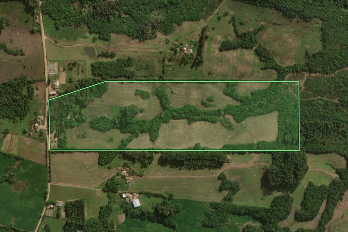 Imagem de satélite do imóvel rural em Canguçu (RS), com o contorno declarado no CAR desenhado por cima.