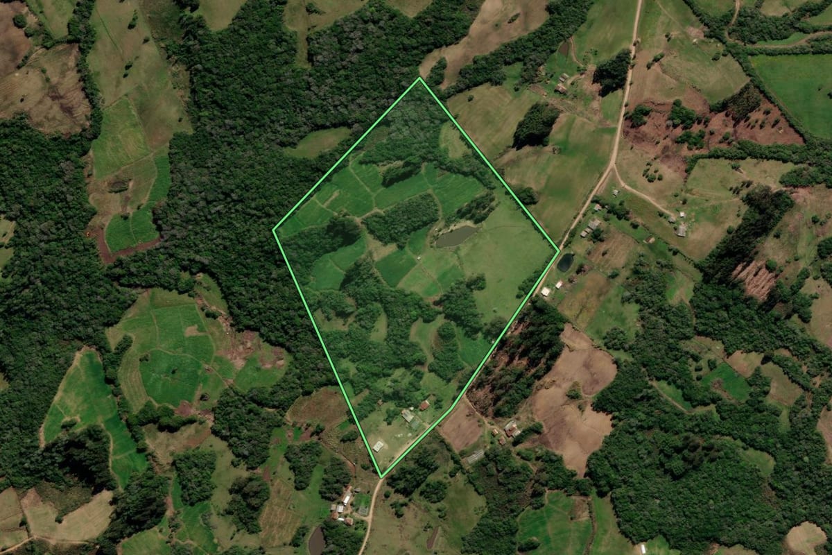 Imagem de satélite do imóvel rural em Canguçu (RS), com o contorno declarado no CAR desenhado por cima.