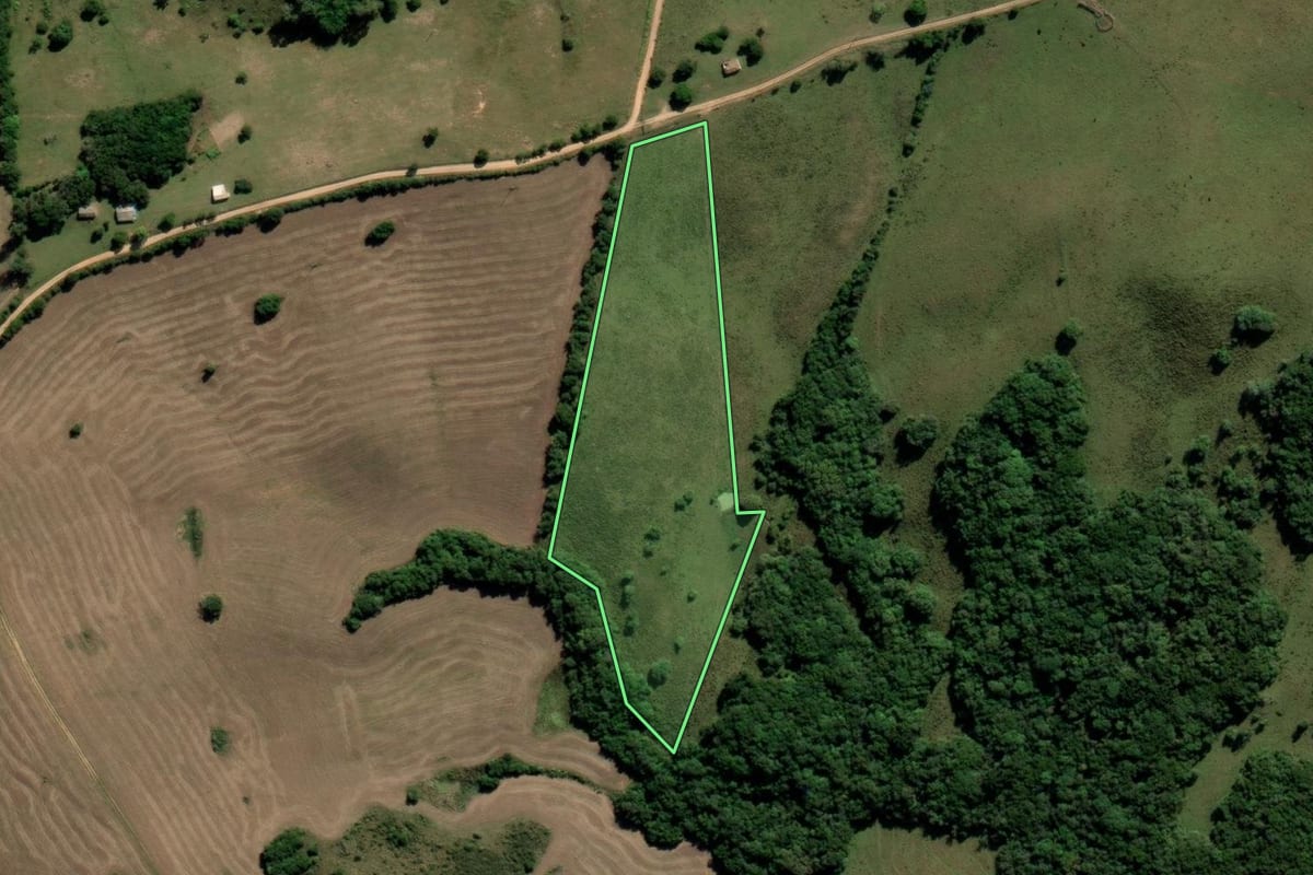 Imagem de satélite do imóvel rural em Canguçu (RS), com o contorno declarado no CAR desenhado por cima.