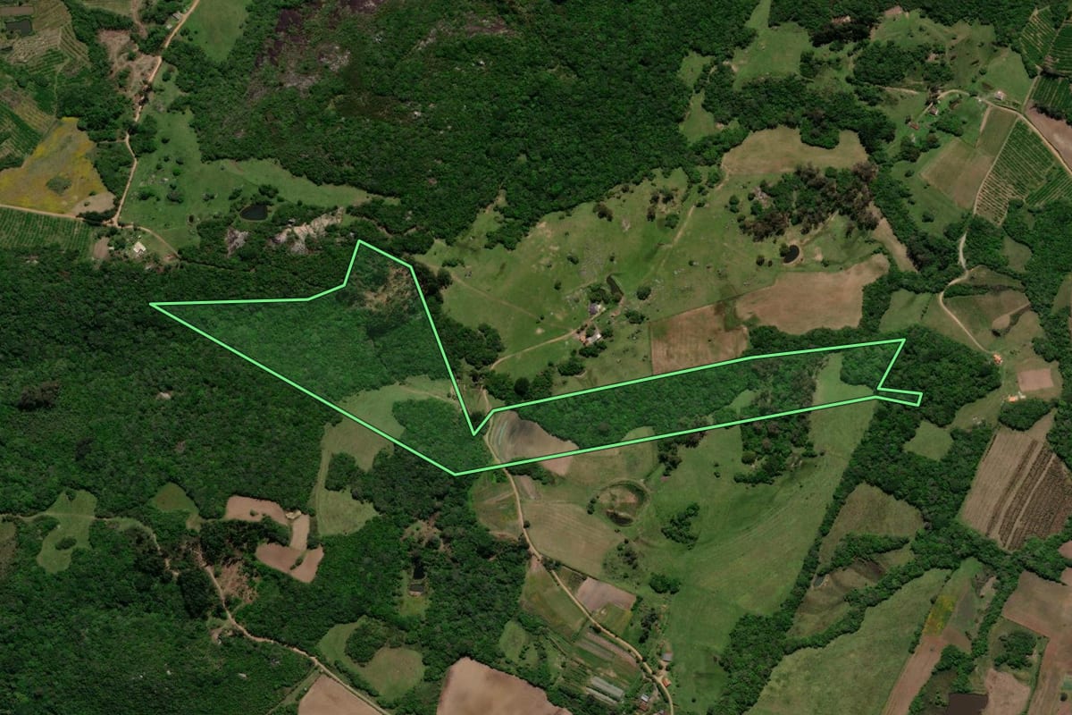 Imagem de satélite do imóvel rural em Canguçu (RS), com o contorno declarado no CAR desenhado por cima.