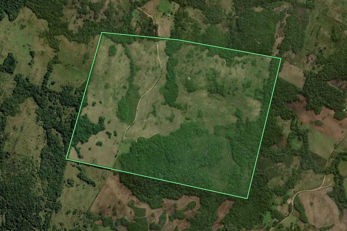 Imagem de satélite do imóvel rural em Canguçu (RS), com o contorno declarado no CAR desenhado por cima.