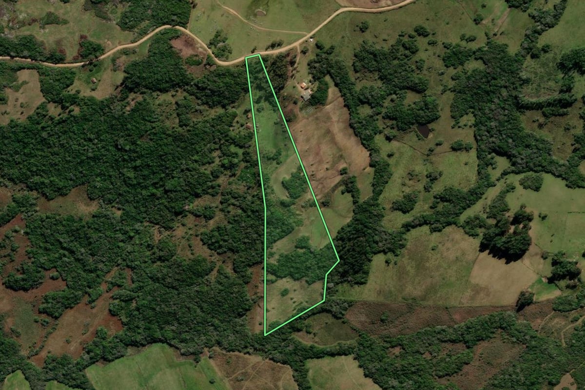Imagem de satélite do imóvel rural em Canguçu (RS), com o contorno declarado no CAR desenhado por cima.