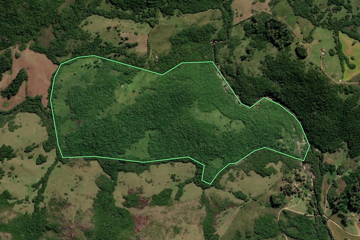 Imagem de satélite do imóvel rural em Canguçu (RS), com o contorno declarado no CAR desenhado por cima.
