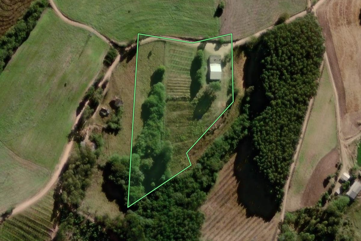 Imagem de satélite do imóvel rural em Canguçu (RS), com o contorno declarado no CAR desenhado por cima.