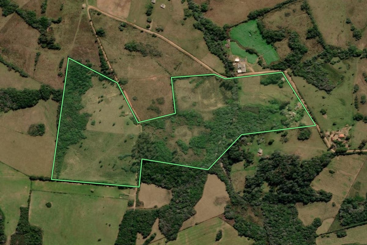 Imagem de satélite do imóvel rural em Canguçu (RS), com o contorno declarado no CAR desenhado por cima.