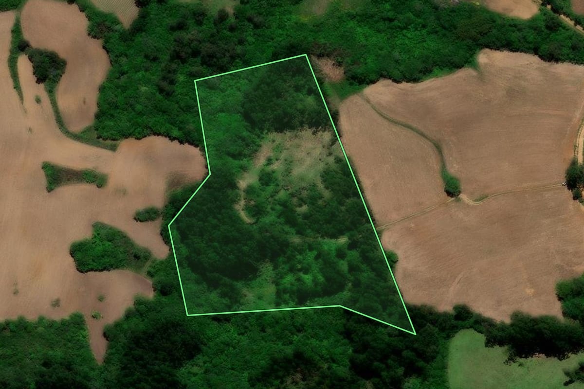 Imagem de satélite do imóvel rural em Canguçu (RS), com o contorno declarado no CAR desenhado por cima.