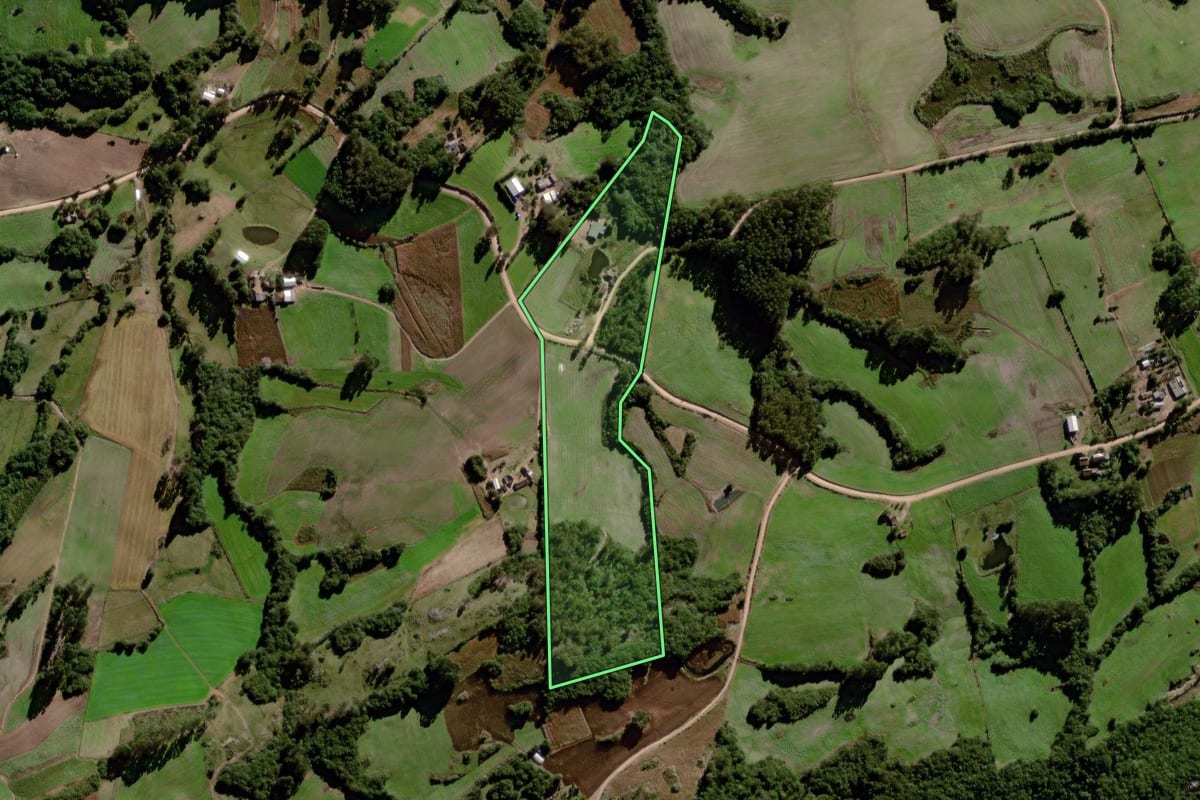 Imagem de satélite do imóvel rural em Canguçu (RS), com o contorno declarado no CAR desenhado por cima.