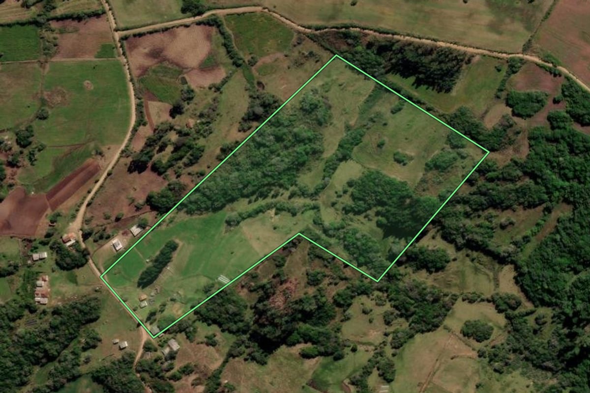 Imagem de satélite do imóvel rural em Canguçu (RS), com o contorno declarado no CAR desenhado por cima.