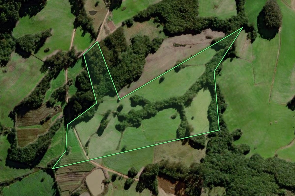 Imagem de satélite do imóvel rural em Canguçu (RS), com o contorno declarado no CAR desenhado por cima.